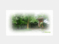 balihideaway.com