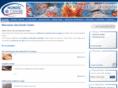 nordic-centre.com
