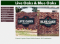 blueoaksmhc.com