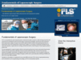 flsprogram.com