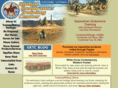 globalendurance.com