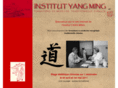 institut-yangming.com