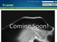 laysen.com
