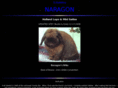 naragonhl.com