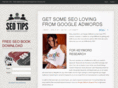 top100seotips.com