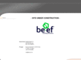 be-ef.com