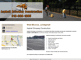 drivewayconstructioninc.com