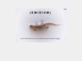 emidium.com