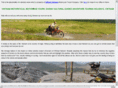vietnammotorbikemotorcycletours.com