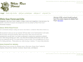 whiteroseflorists.com