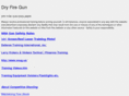 dryfiregun.com