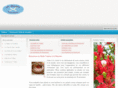 le-stellatraiteur.com