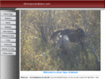 silverspurarabians.com