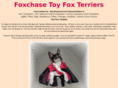 foxchasetoyfoxterriers.com