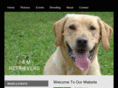 jmretrievers.com
