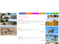 kinztravel.com