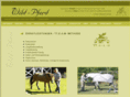 wild-pferd.com