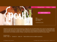 poshsalonsf.com