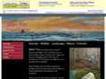 sheristudio.com
