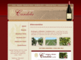 vinoscandela.com