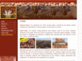 azpistachios.com