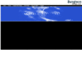 bengtsondesign.com