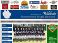 dhsbaseball.com