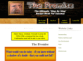 thepromisebook.com