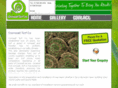 turfingincornwall.com