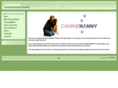 caninenanny.com