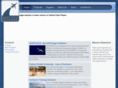 flightlevelengineering.com
