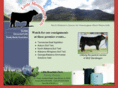 littlemountainsimmentals.com
