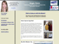 ashirk.com