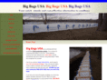 bigbagsusa.com