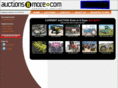 auctions-n-more.com