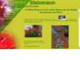 blumen-steinmann.de