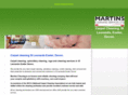 carpetcleaningstleonards.com