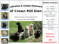 crownmillglen.com