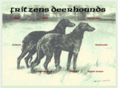 fritzens-deerhounds.de