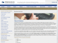 presidiotelecomsolutions.com