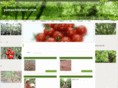 yamashitafarm.com