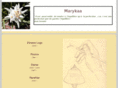 marykaa.com