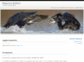 massimobottoni.com