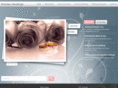 sheridanweddings.com