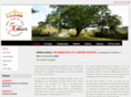 castiello.com