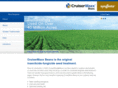 cruisermaxxbeans.com