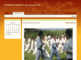 enshinnj.com