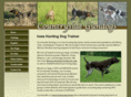 iowahuntingdogtrainer.com