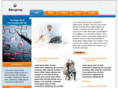 bibugroup.com