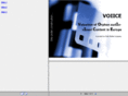 voiice.com